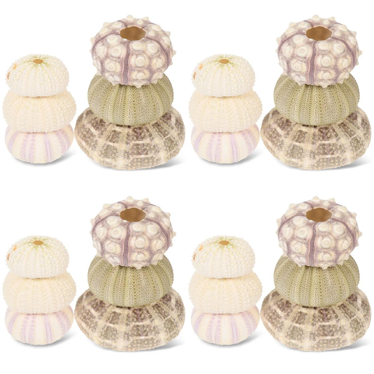 

24 Creative Practical DIY Multi-function Urchin Air Pot Hanging Air Holder Air Holders Unique