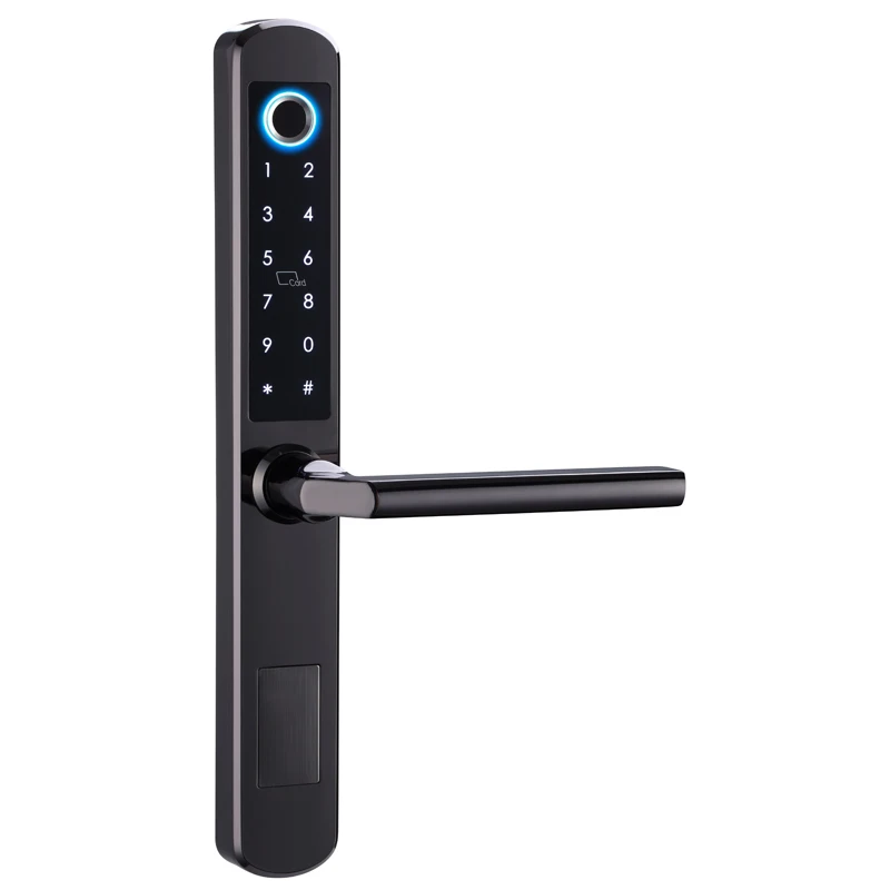 

Tuya Smart TTlock Slim Aluminium Door Usage Waterproof Hook Sliding Door Smart Lock