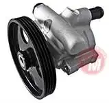 

41082 for the steering pump CLIO-------kng 1.5DCI 03MGN I (4 channel