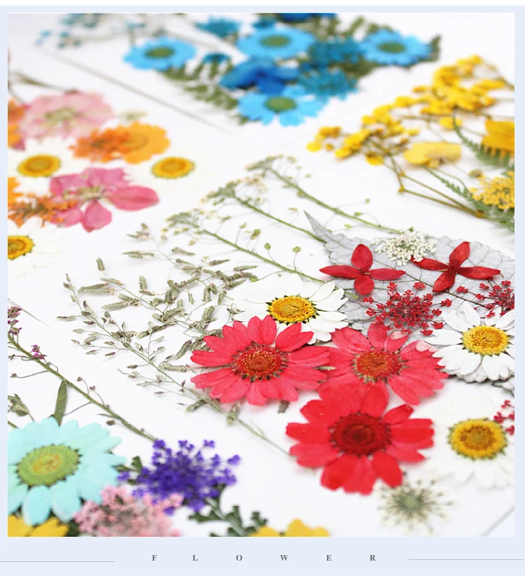 Пинцет для сушеных прессованных цветов листьев натуральные маргаритки в