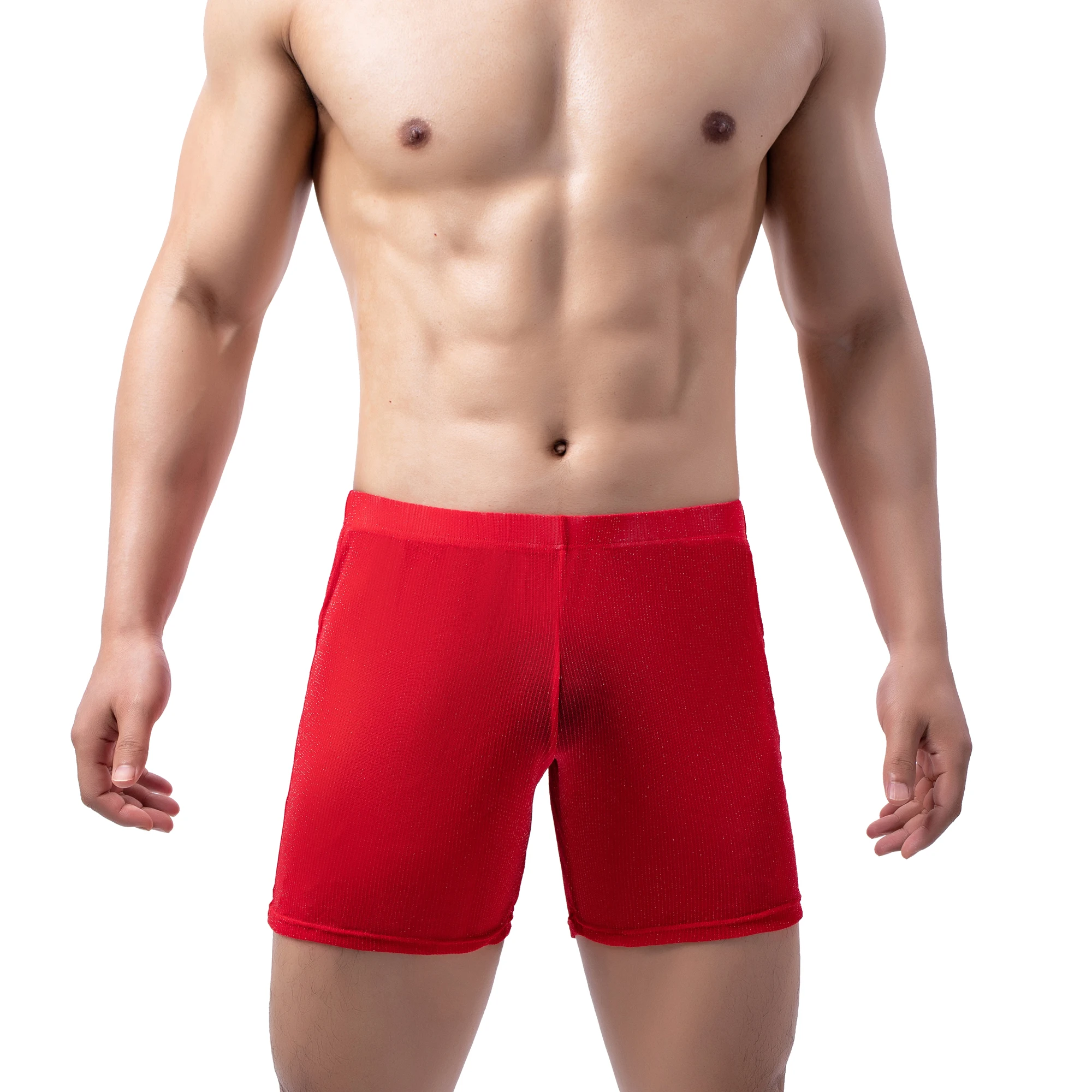FYXLJJ Sexy Men Mesh Trunk Boxer Briefs Shorts Transparent Male Lounge Boxer Shorts Nightwear Sleep Bottom Man Mesh Sheer Boxers