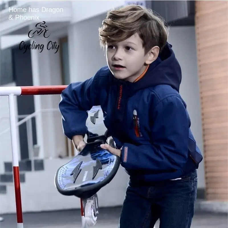 Рисунок 3 - Домашний скейтборд Dragon And Phoenix с 2 колесами