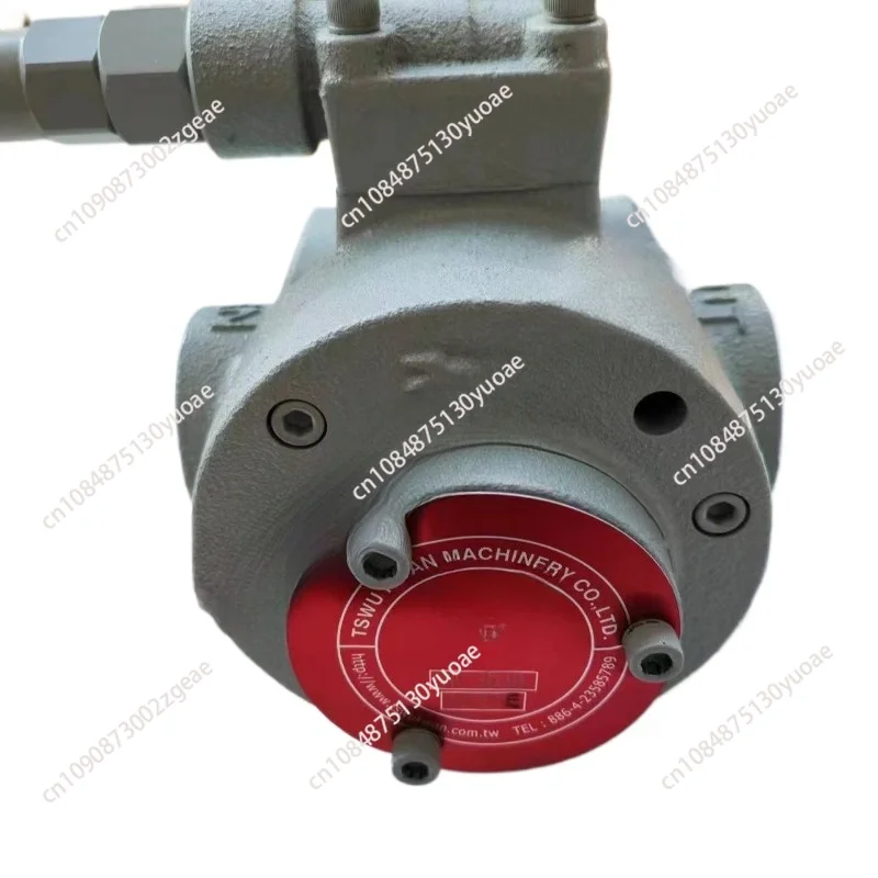 Шестеренчатый масляный насос tk2020 циркуляционный электрический трощеидный Gerotor