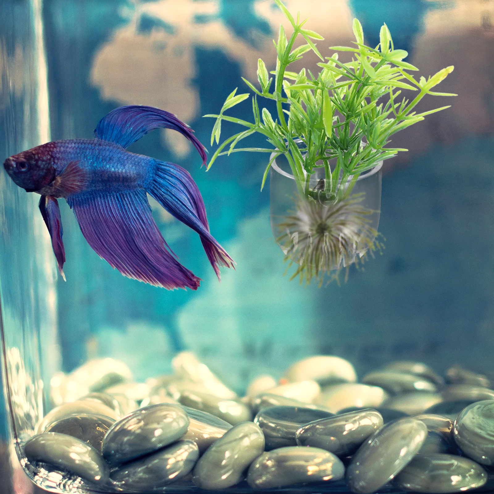 4 шт. подвесные аквариумные кашпо акриловая кормушка для аквариума красные