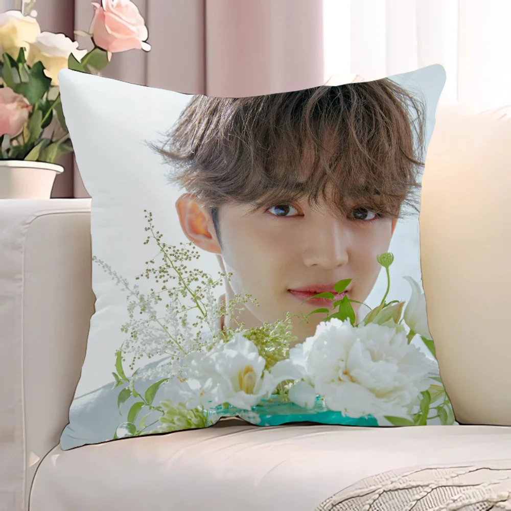 S-Seventeen декоративные наволочки для диванных подушек подушки сна домашний декор