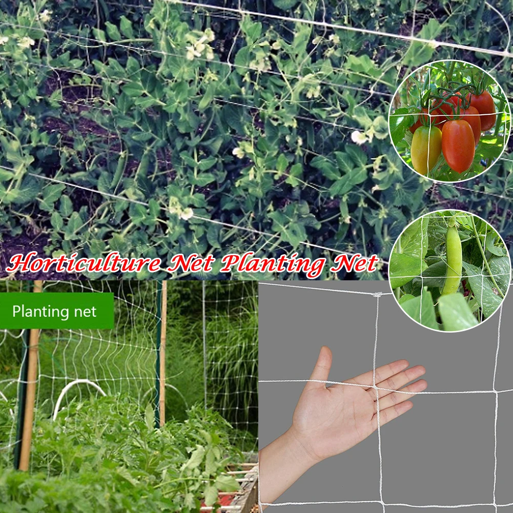 

Classic Garden Plants Climbing Polyester Net Flower Cucumber Vine Grow Netting Support Outdoor Garden Accessaries Supplies Parts