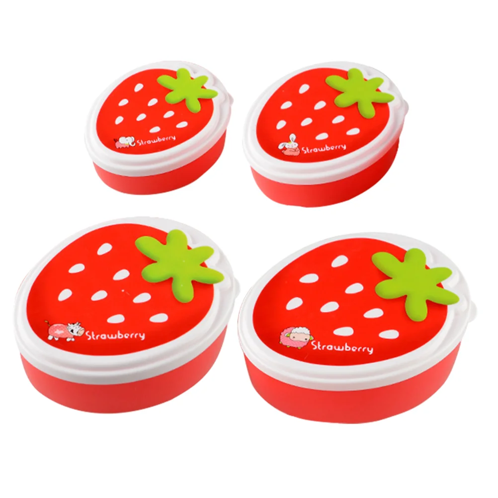 

4 Pcs Boxes Double Layer Bento Box Fruit Lunch Container