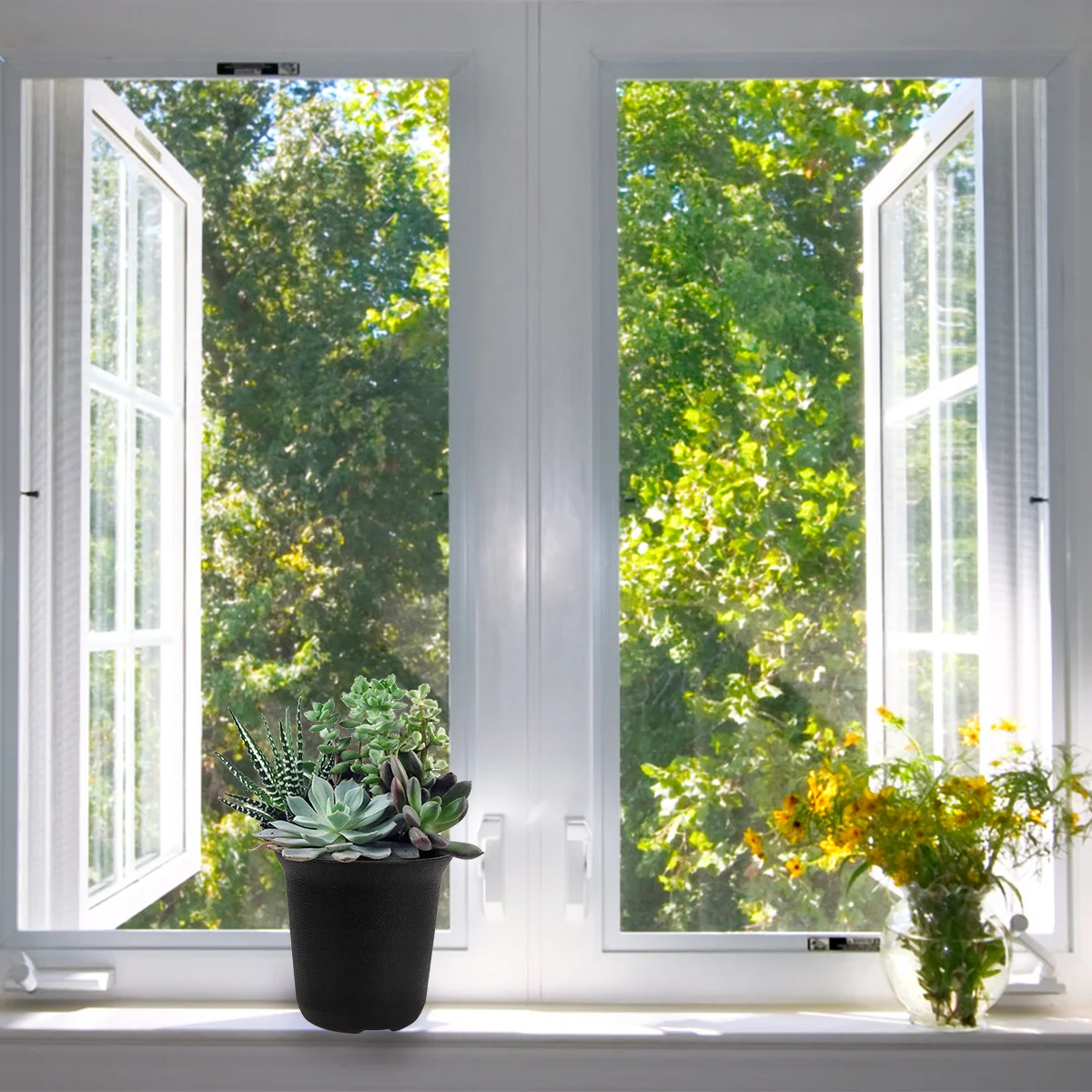 

12 Pcs Stand Plants Indoor Plastic Containers Plastic Succulent Pot Planters Indoor Plants Pots Indoor Plants