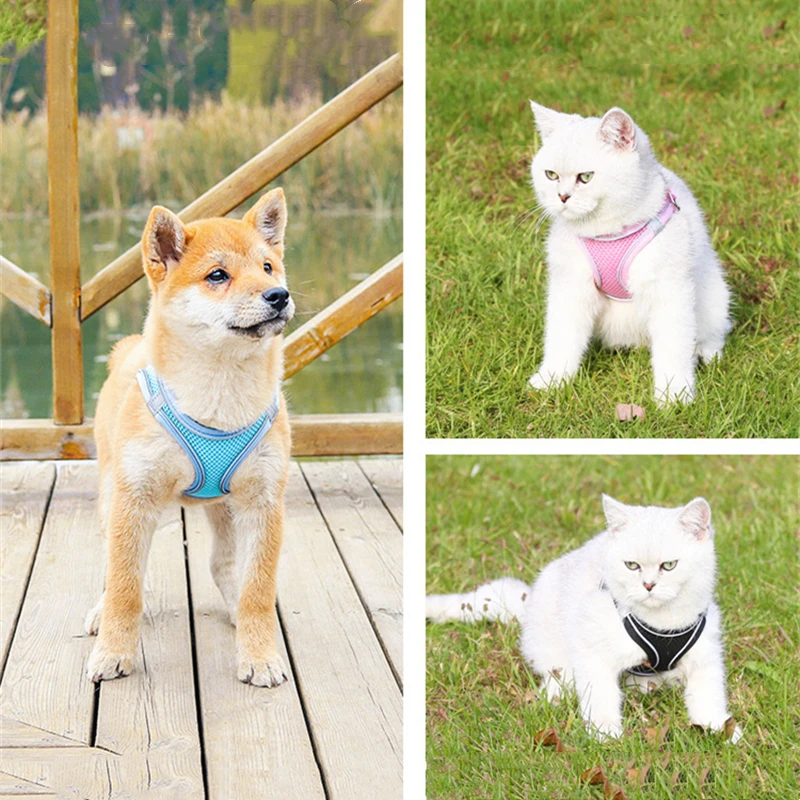 Светоотражающая шлейка для питомцев регулируемый нейлоновый жилет с поводком