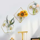 Скандинавская настенная гидропонная ваза, листья гинкго, металлический держатель для цветов, стеклянная ваза для гостиной, офиса, украшение для фона, Настенный декор