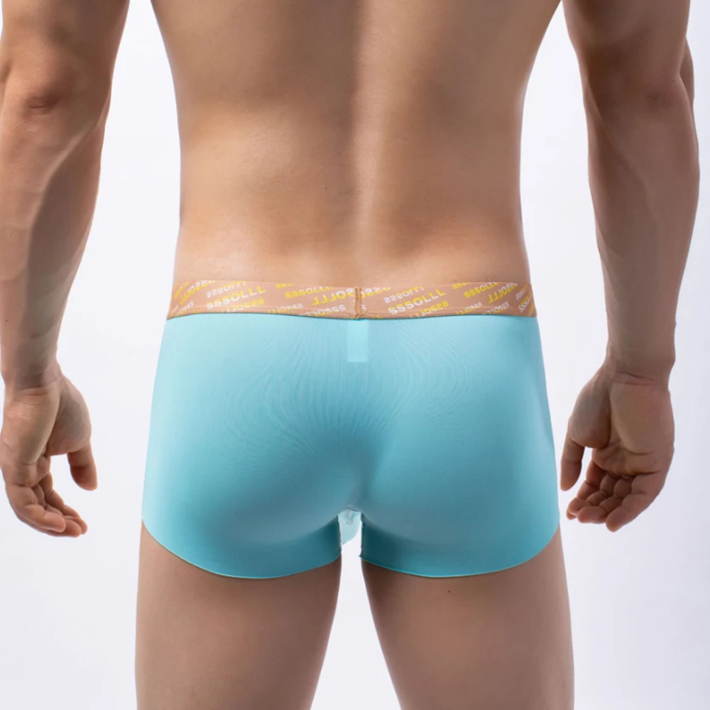 

Men Ice Silk Mesh Breathable Elephant Nose Sexy Boxer Comfortable Briefs Breathable Slip Knickers Seamless Fashion Underwear