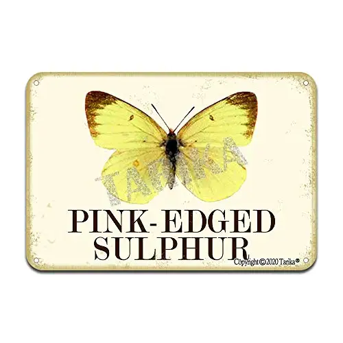 

Железный постер с розовой окантовкой и серной бабочкой, Оловянная вывеска, винтажный Настенный декор для кафе, бара, паба, домашние украшения для пива, поделки