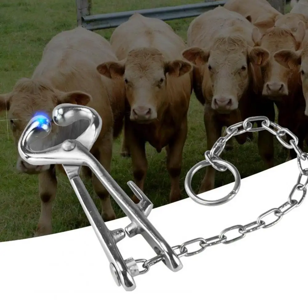 

Cattle Nose Clamp Anti-rust Cattle Nose Piercing Clamp Equipment Nose Piercing Pliers
