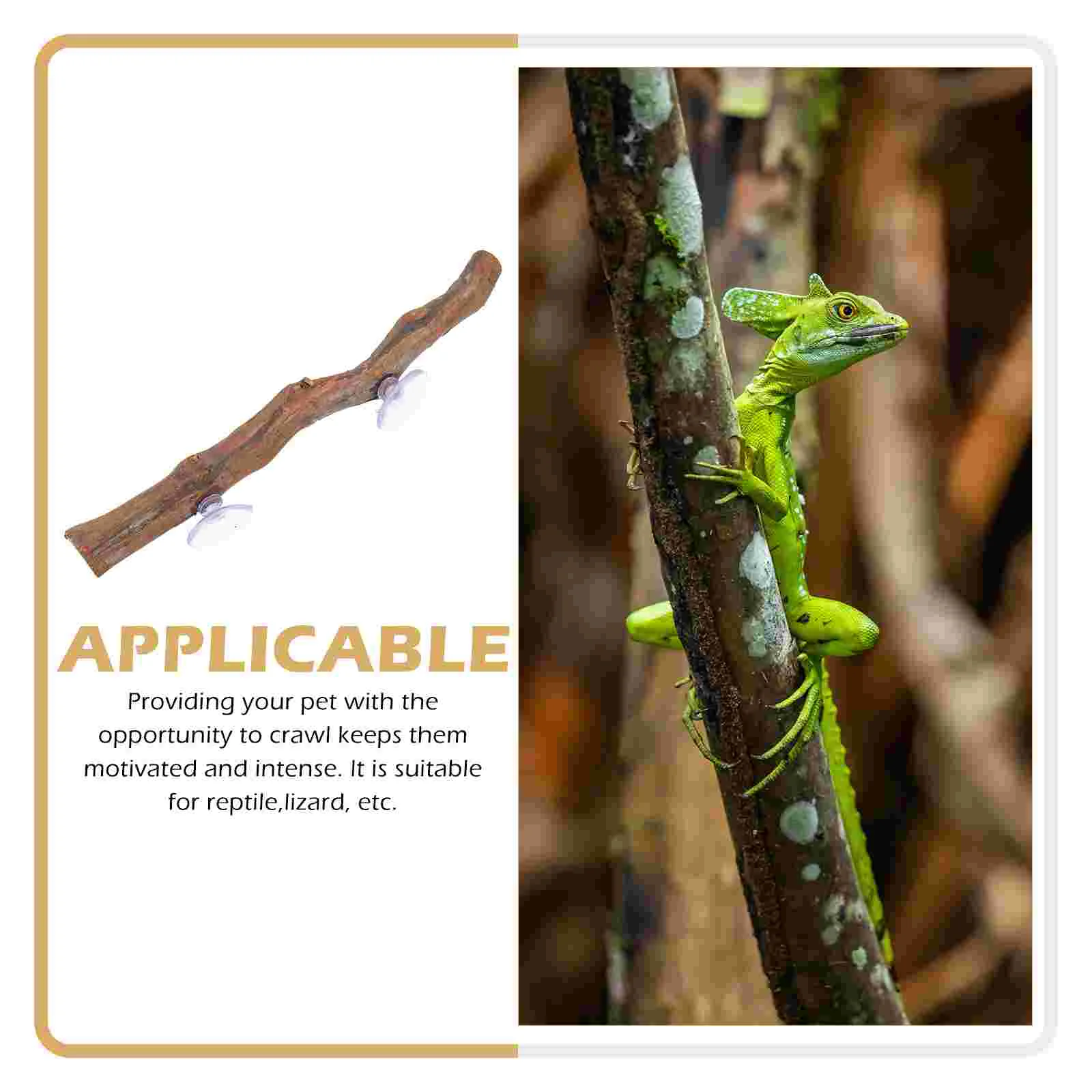 Украшение Для Рептилий Подставка Домашних Животных В Форме Ящерицы Деревянное