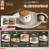 japanese genuine stasto gashapon capsule toys cute kawai seal three cat model animals become snacks