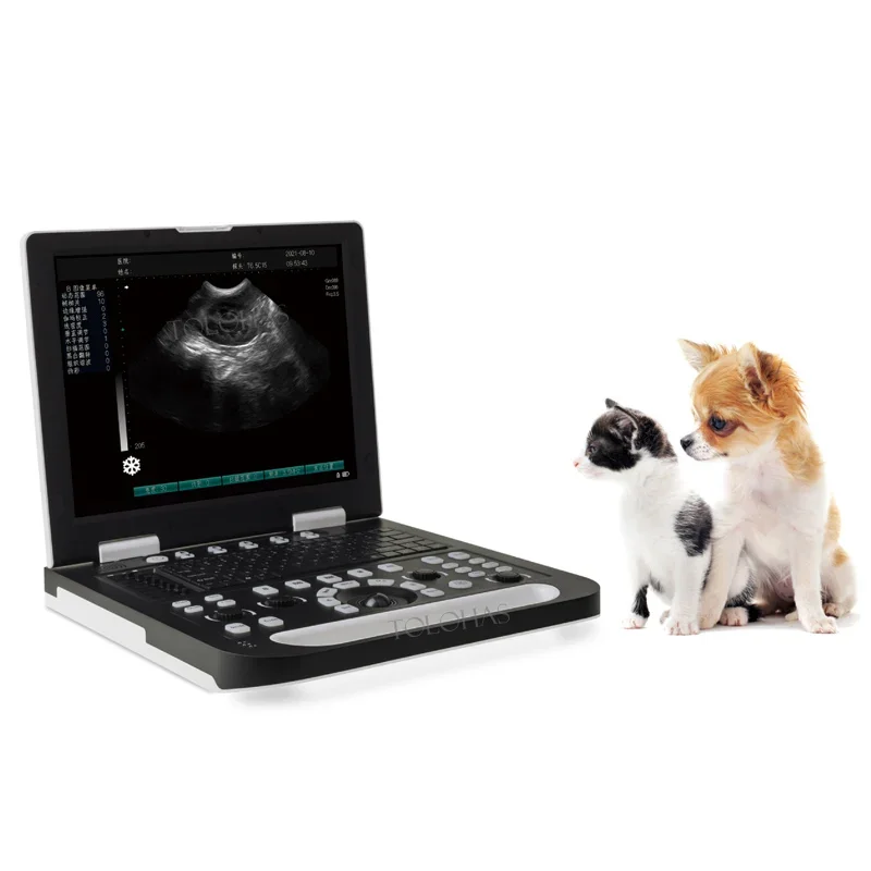 LHWN50 Ветеринарный ультразвуковой сканер Портативный ветеринарный аппарат USG для