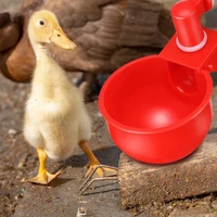 attractive reusable wide application practical food grade chicken feeder for poultry chicken food holder chicken waterer