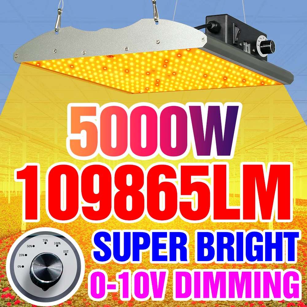 

Phytolamp Full Spectrum LED Grow Lights Indoor Plant Lamps 2000W 4000W 5000W Greenhouse Hydroponics Growth Tent LED Phyto Lamps