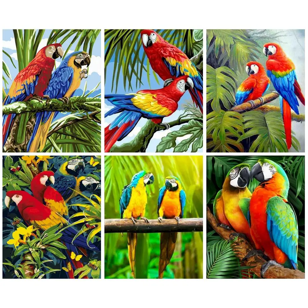 

CHENISTORY 40x50cm Paint By Numbers Acrylic Paints Pictures By Numbers Parrots Painting Numbers Home Decor Picture Drawing