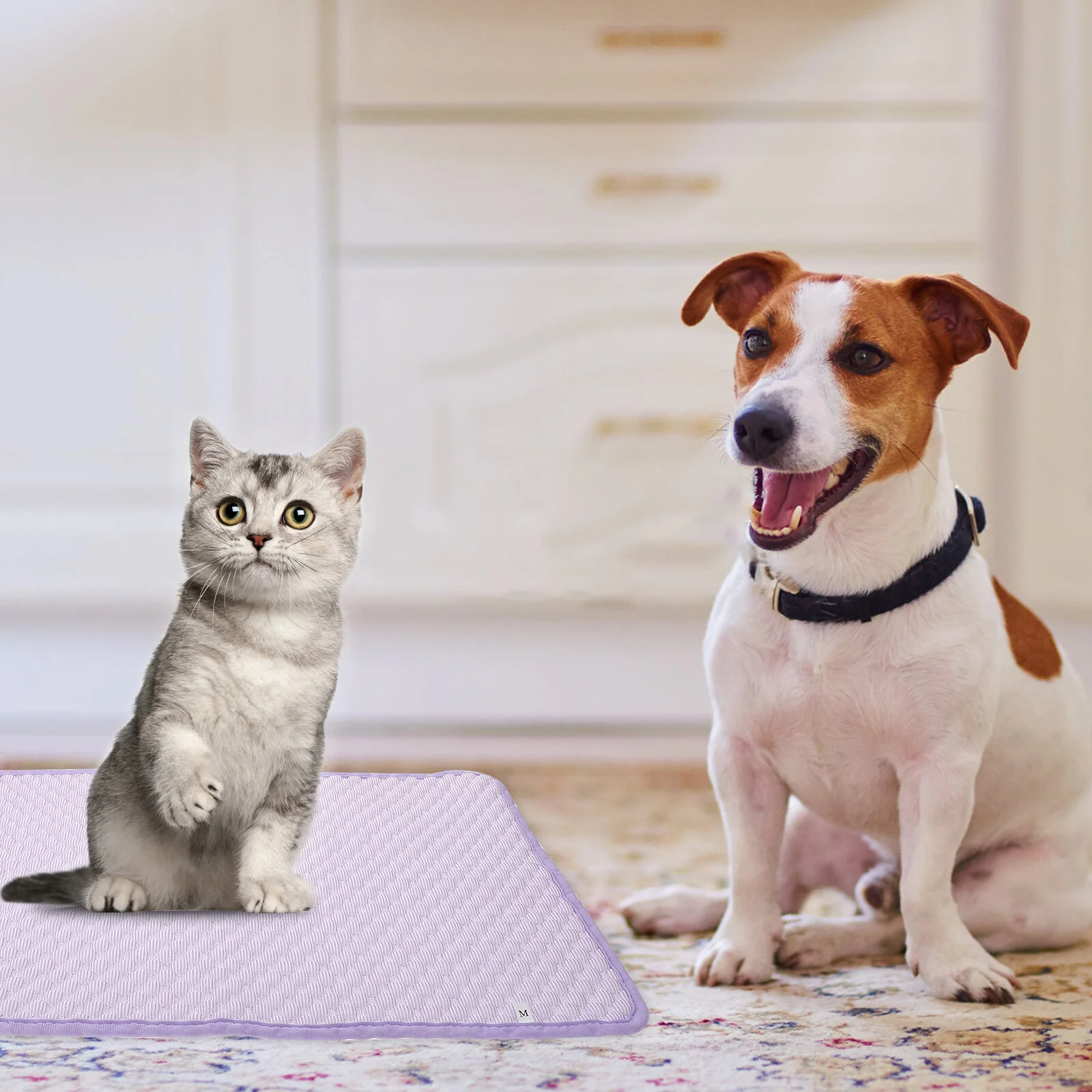 

Summer Sleeping Mat Cooling Mat Summer Sleeping Pad Cooling Mats Kennel Mat Blanket Bed for Small Cats Floors Cushion 60x40CM