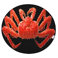 2022 new and unique personality king crab round blanket air conditioner is suitable for home soft comfortable and warm 119cm