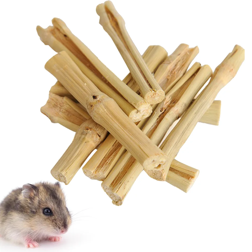 

Hamster Sticks Snacks Chew Toy Toys Teeth Rabbit Molar Pet Guinea Stick Chewing Squirrels Teething Wood Treat Chinchillas Rod