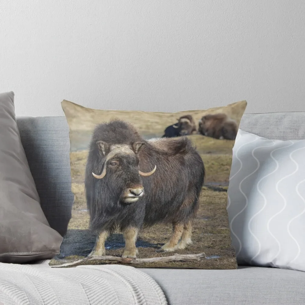 Arctic Muskox наволочки для диванных подушек Набор наволочек