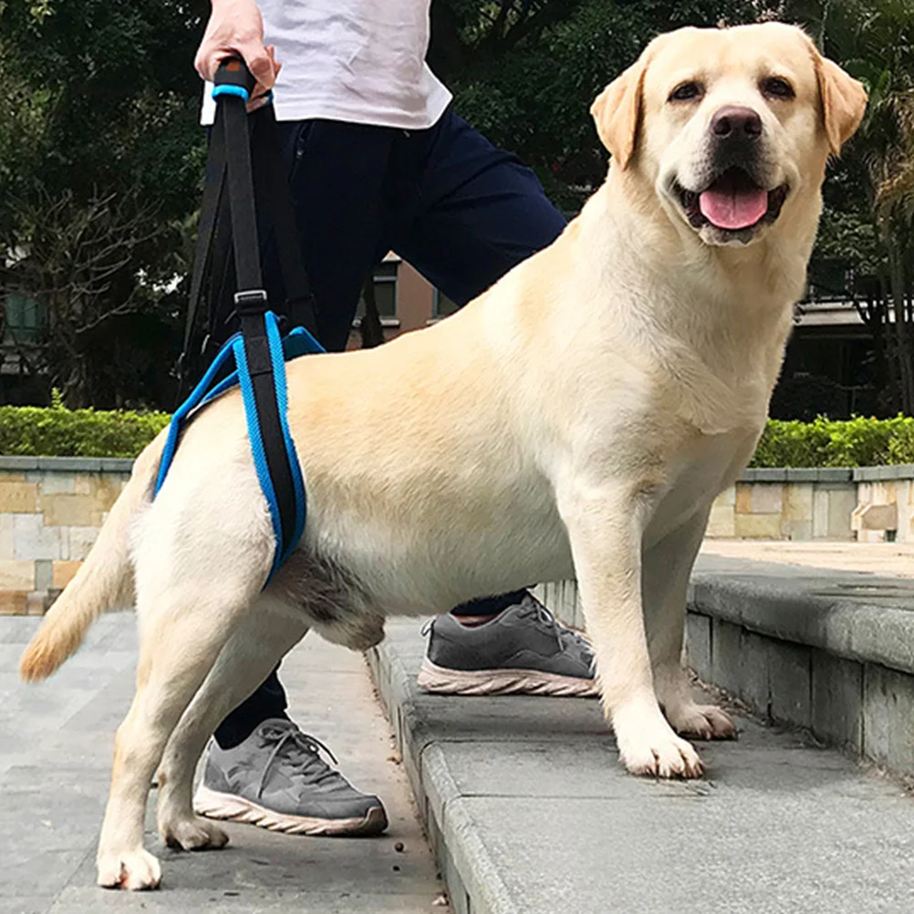 

Pet Back Leg Deformity Injured Old Dog Stair Auxiliary Belt Pet Accessories - Size S (Blue)