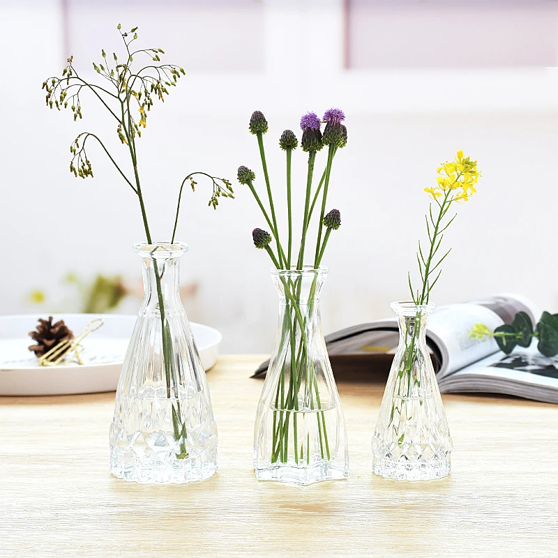 

Garden Decorative Glass Vase Balcony Decoration Nordic Living Room Home Decor Accessories Indoor Flower Pot Office Decoration