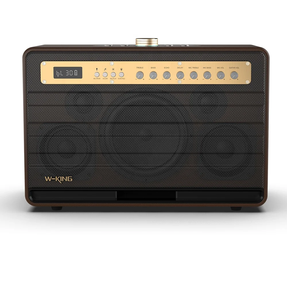 

W-KING K6L music box Bluetooth speaker for instruments, with 2pcs microphones