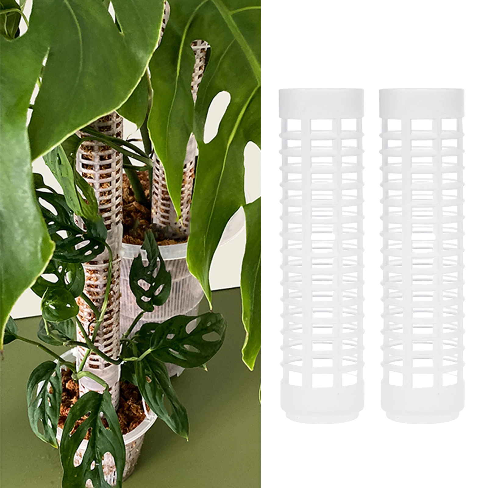 

Moss Pole Plastics Plant Pole Durable Poles Plant Accessories Plant Support Sticks For Indoor And Outdoor