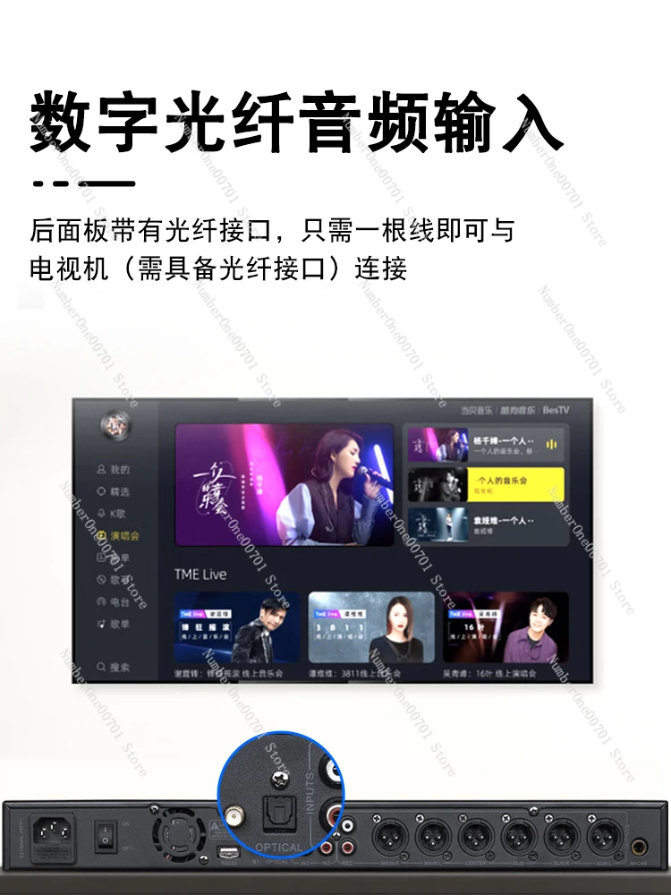 Предложение сценическое исполнение профессиональный домашний караоке