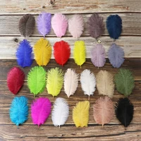 15 20cm natural ostrich feather colorful crafts real dyed fluffy plumas for clothing handicrafts accessories party decoration