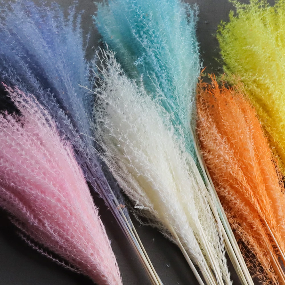 

10pcs/Lot Preserved Small reed flower bouquet ,Diy real bulrush rush grass,Natural Eternal whisk dust plant Shooting scene props