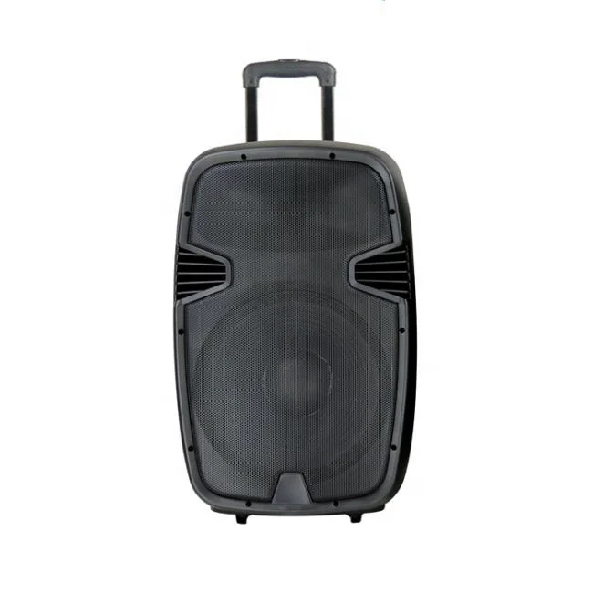

12 Inch Portable Trolley Speaker Woofer Speaker Support USB Flash Drive Fm Radio