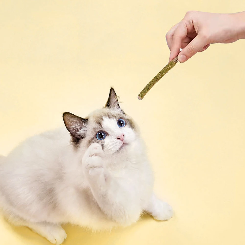 

Natural Catnip Stick Cat Teeth Cleaning Tool For Pet Cat