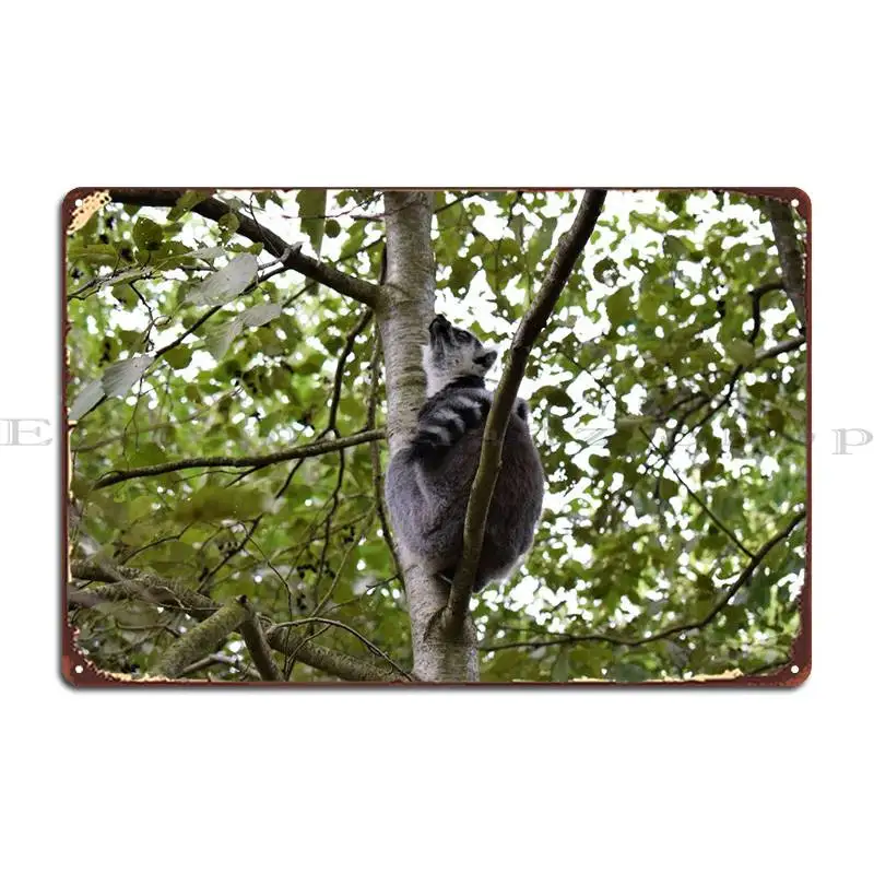 

Ring Tailed Lemur 1 Metal Plaque Poster Bar Bar Cave Create Character Garage Tin Sign Poster