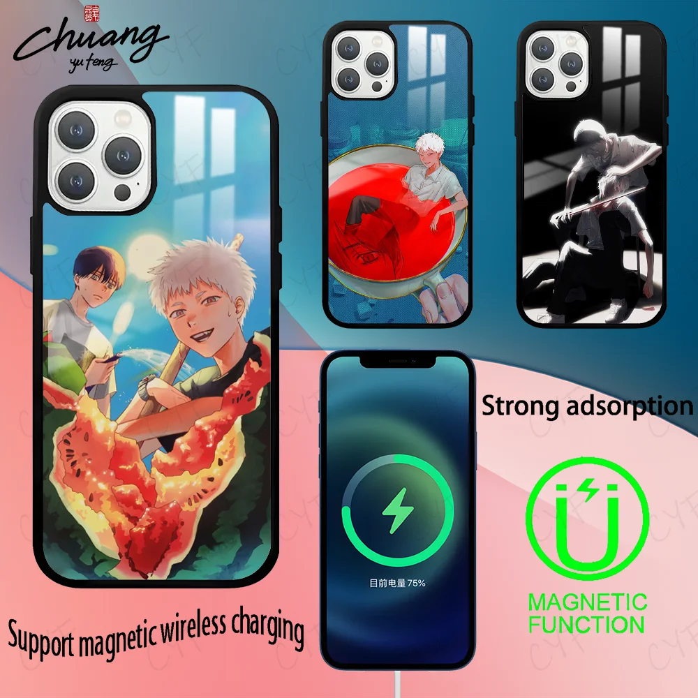 Anime The S-summer H-hikaru died Phone Case For 11 12 13 14 15 16Pro Max mini Plus strong magnetic attraction Cover