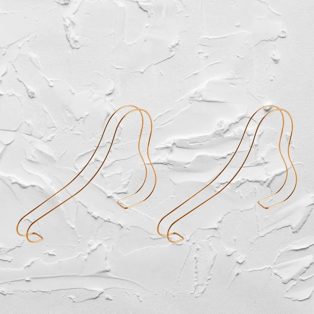 

2PCS Shoes Display Bracket Metal Elastic Shoe Brace Simple High Heel Shoes Holder Stainless Steel Shoes Shelves for Home Store