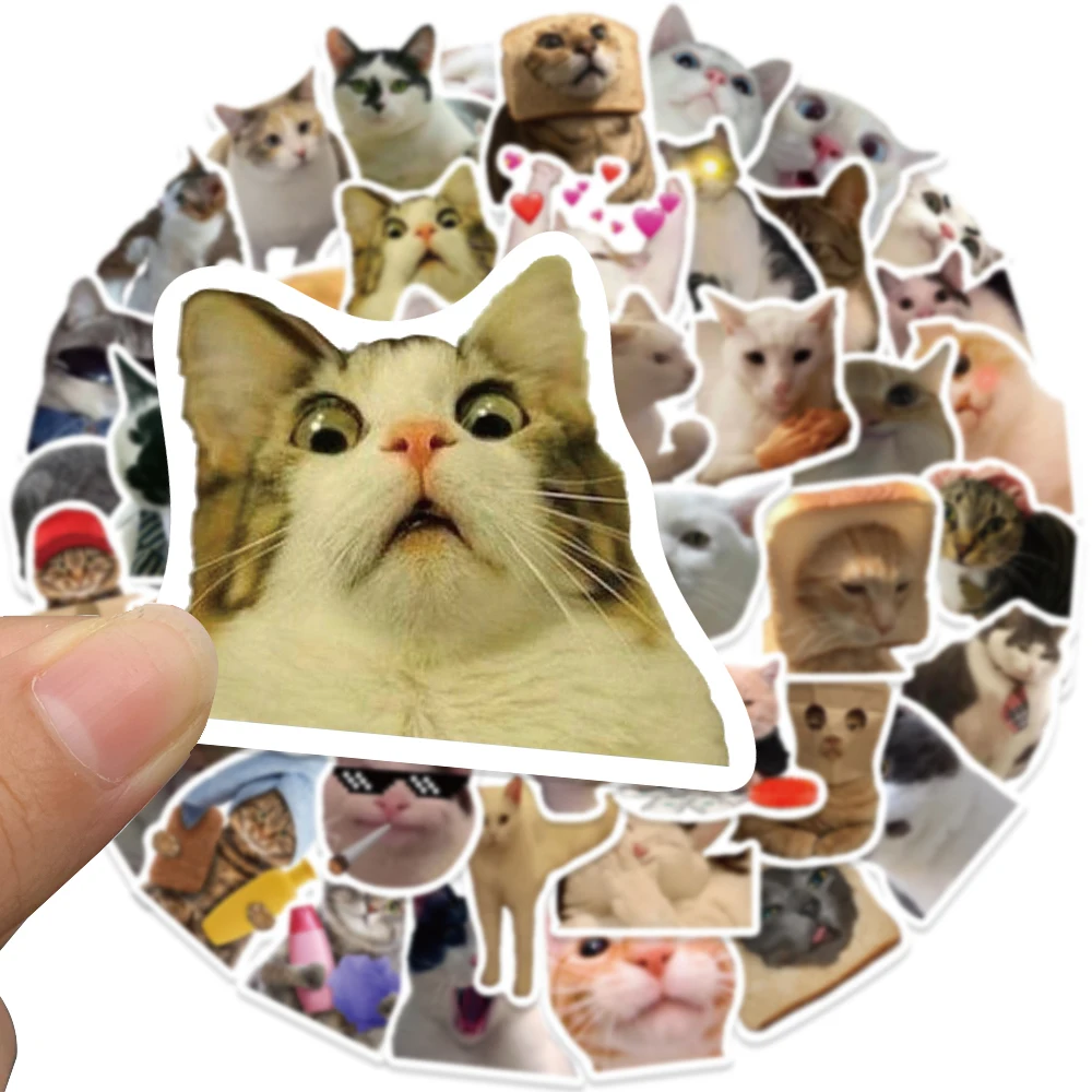 <2023년 11월> 고양이 스티커, 고양이 캐릭터 스티커, 장화 신은 고양이 스티커북, 캐리어스티커 외 정리 가격 비교 2 4 알리파파의 가성비 알리 제품 추천 6008 3