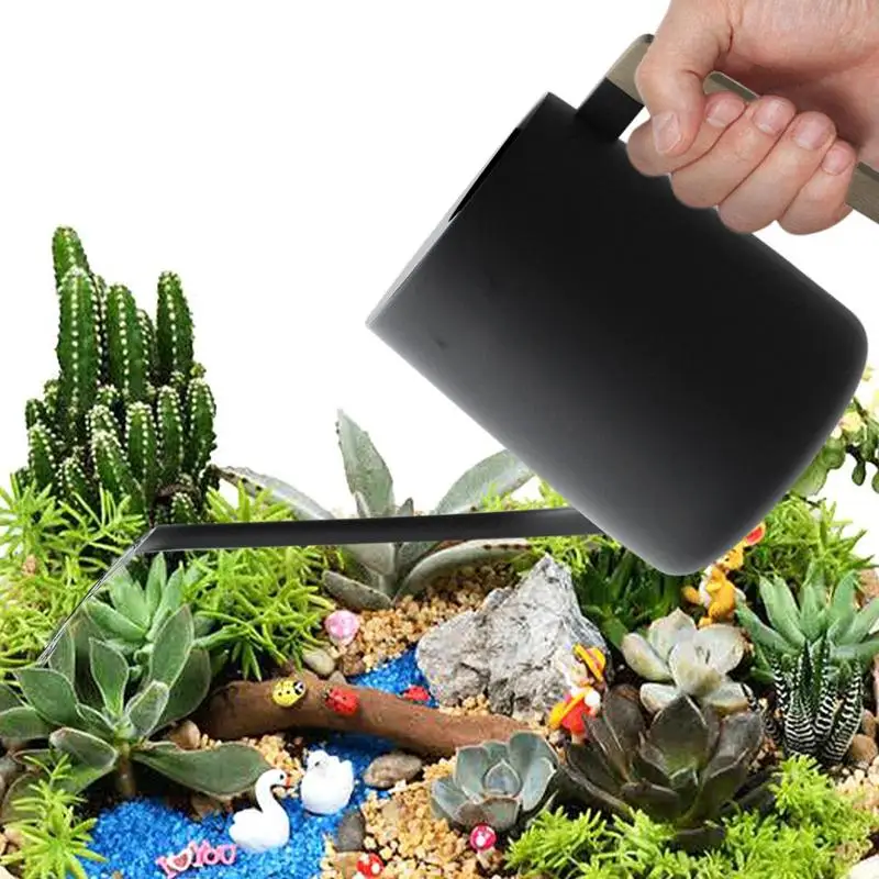 

Watering Can 35oz Long Spout Small Watering Can For Indoor Plants Stainless Steel Watering Can With Wooden Handle For Indoor