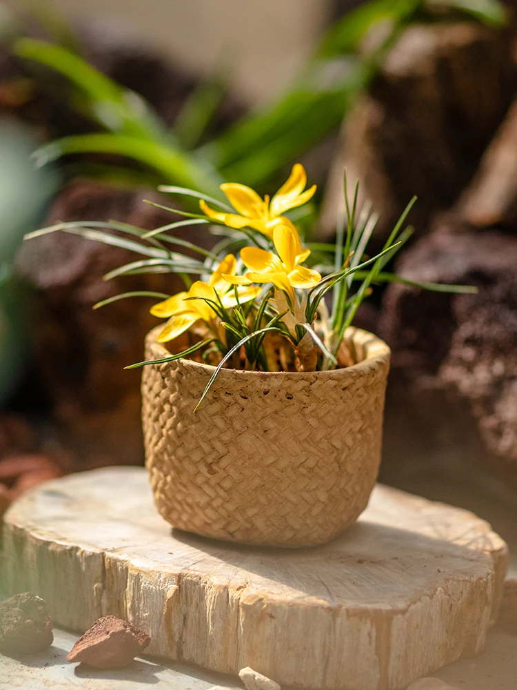 Cement Flower Pots For Indoor Planters Retro Style Succulent Flowerpots Brown Color Home Garden Decoration Deaktop Ornaments