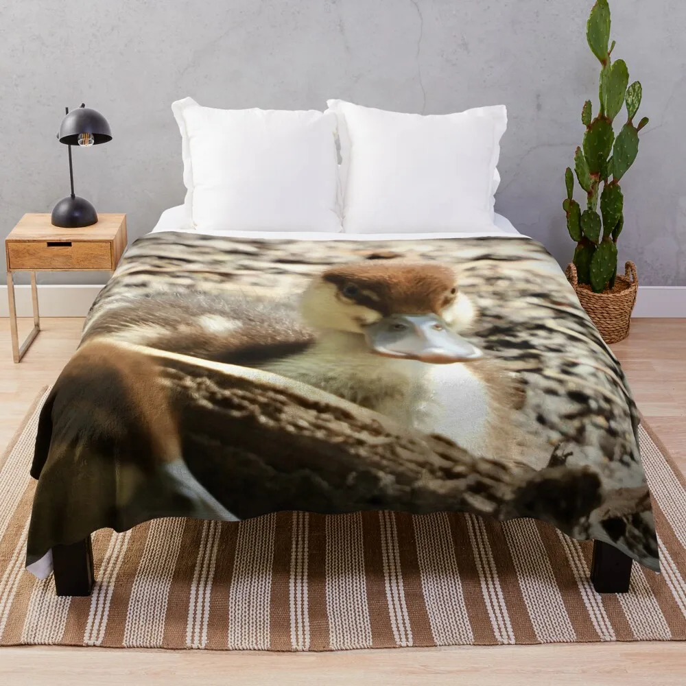 Radjah Shelduck утенок старея на камере плед одеяло косплей аниме лохматые одеяла