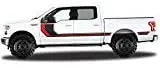 

Factory Crafts Rally Stripe 2 Side Graphics Kit 3M Vinyl Decal Wrap Compatible with Ford F-150 SuperCrew 5.5 Bed 2015-2017 Black