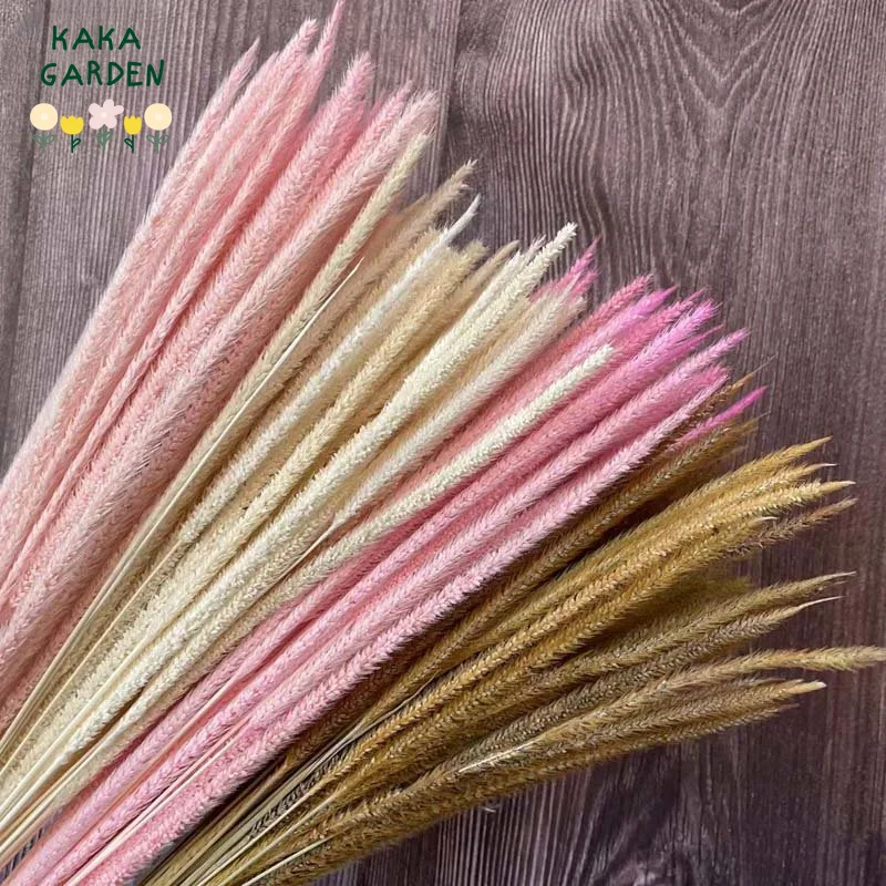 

50pcs Dried Flowers Goldenrod Eternal Bouquet for Wedding Garden Decoration Natural Preserved Plant DIY Flower Wall Accessories