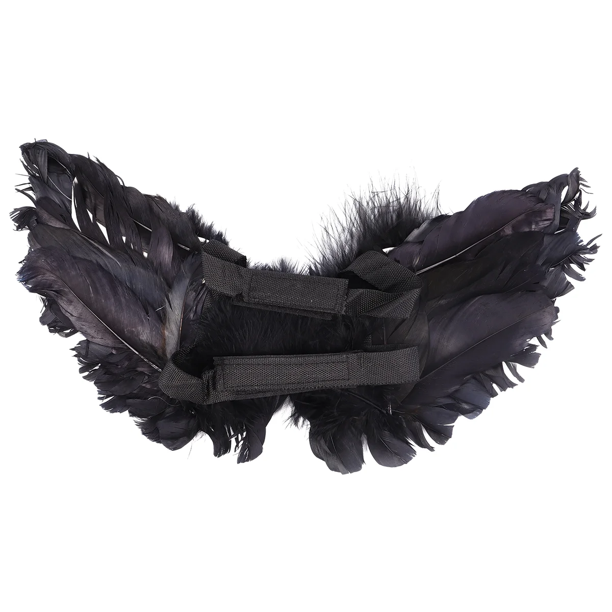 

Dog Costumecatwings Bat Angel Wingdogs Costumes Cats Only Harness Petblack