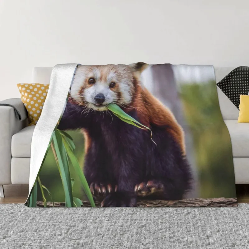 

Red Panda Cute Animal Blanket Flannel Eat Cozy Soft FLeece Bedspread