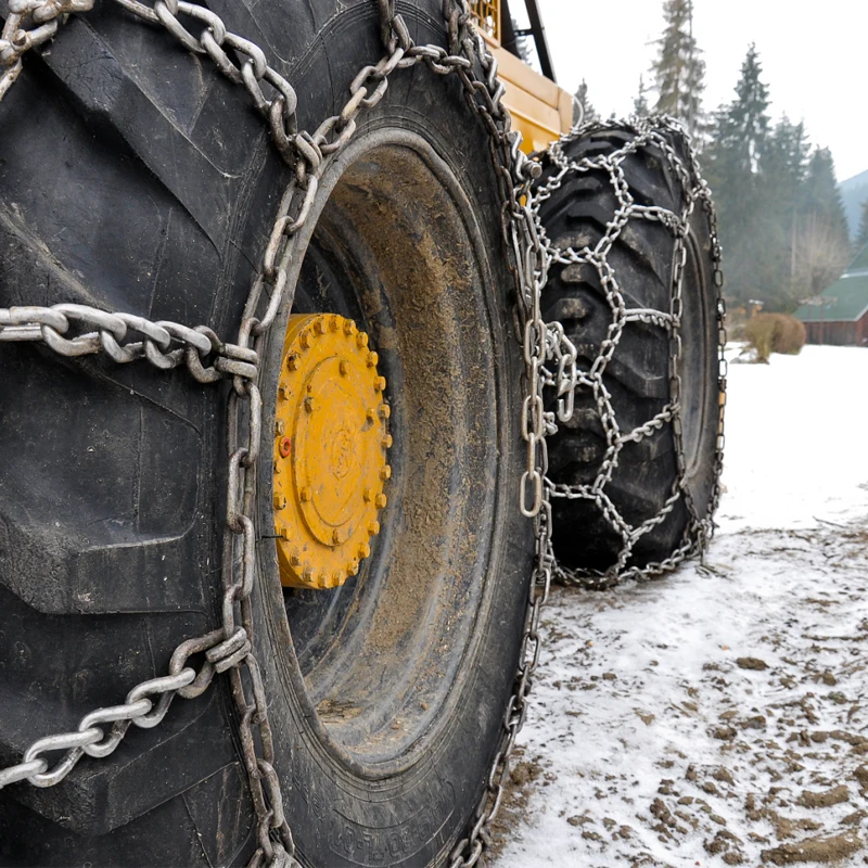 Рисунок 5 - BOHU Китай лесное хозяйство