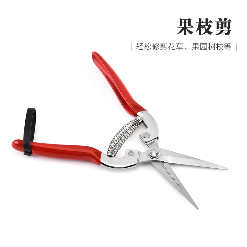 

O50 Stainless Steel Pruning Scissors Gardening Scissors Household Fruit Picking Grape Scissors Garden Branch Pruning Tools
