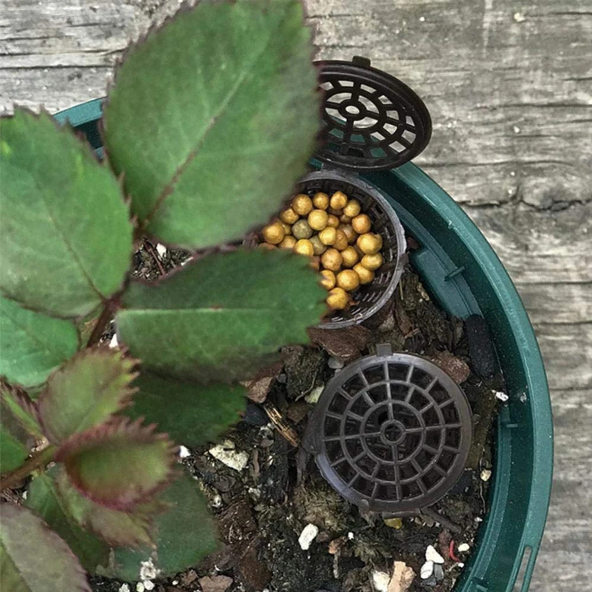 50 шт. новые корзины для удобрений с крышкой орхидея выращивание корня парка